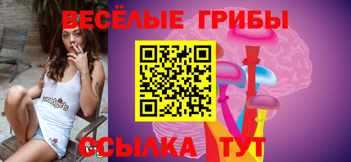 Чистополь  Псилоцибиновые грибы прущие грибы  купить  цена  Галлюциногенные грибы Cubensis  Вход с VPN 